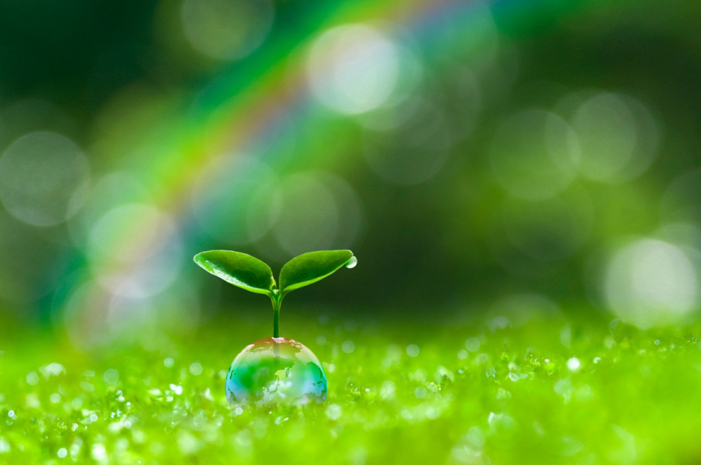 まとめ　グリーンボンドについて