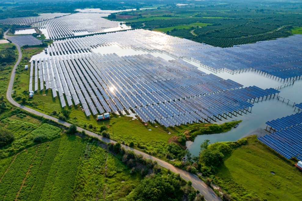 フィジカルPPAとは？