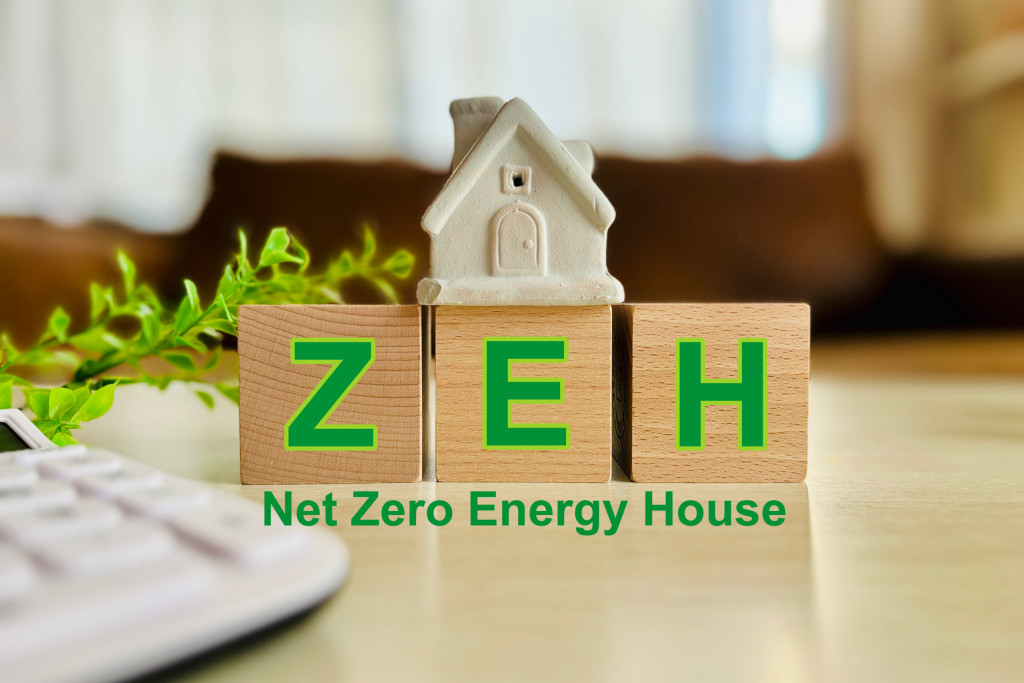 ZEHの定義